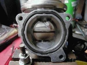 egr 1